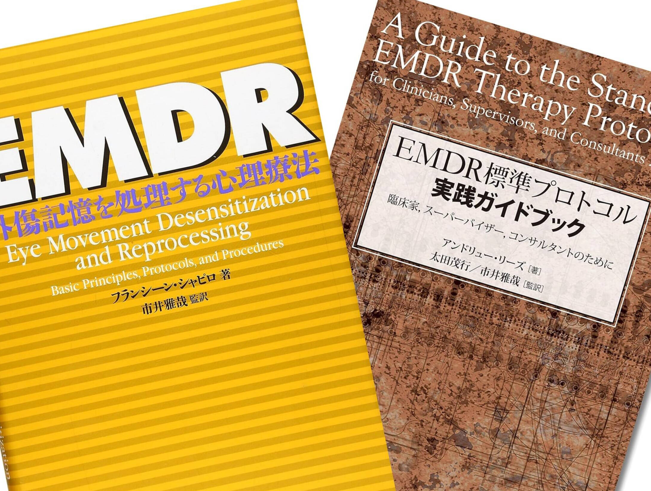 EMDR weekend1研修新潟開催 | 特定非営利活動法人 新潟トラウマ治療協会